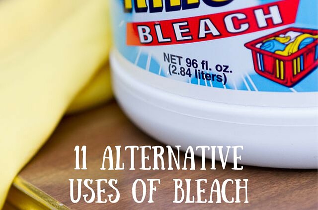 11 alternative uses of bleach you may have never heard of